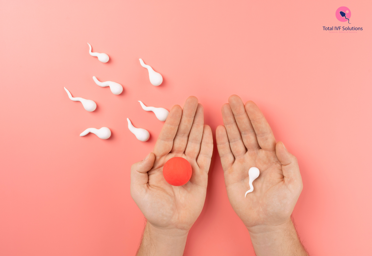 Sperm Donation Price in India