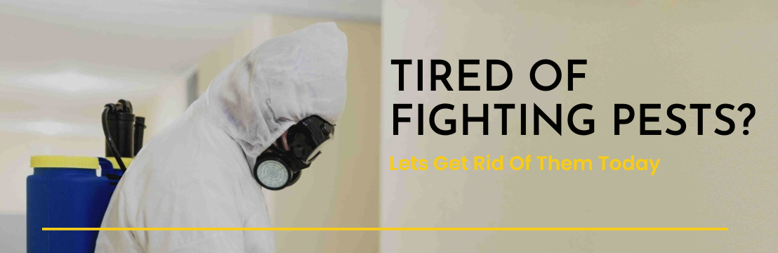 Conquest Pest Services
