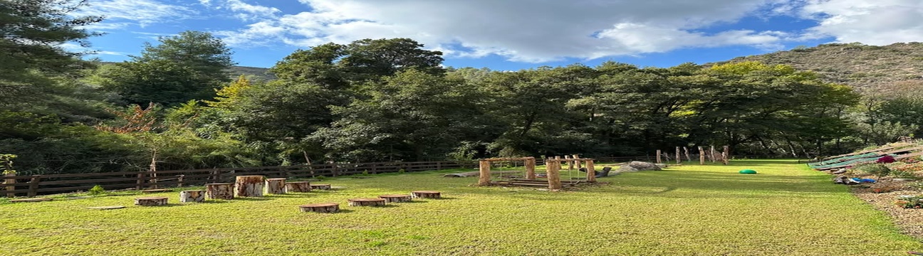 Back To Nature - Glamping & Events Retreat