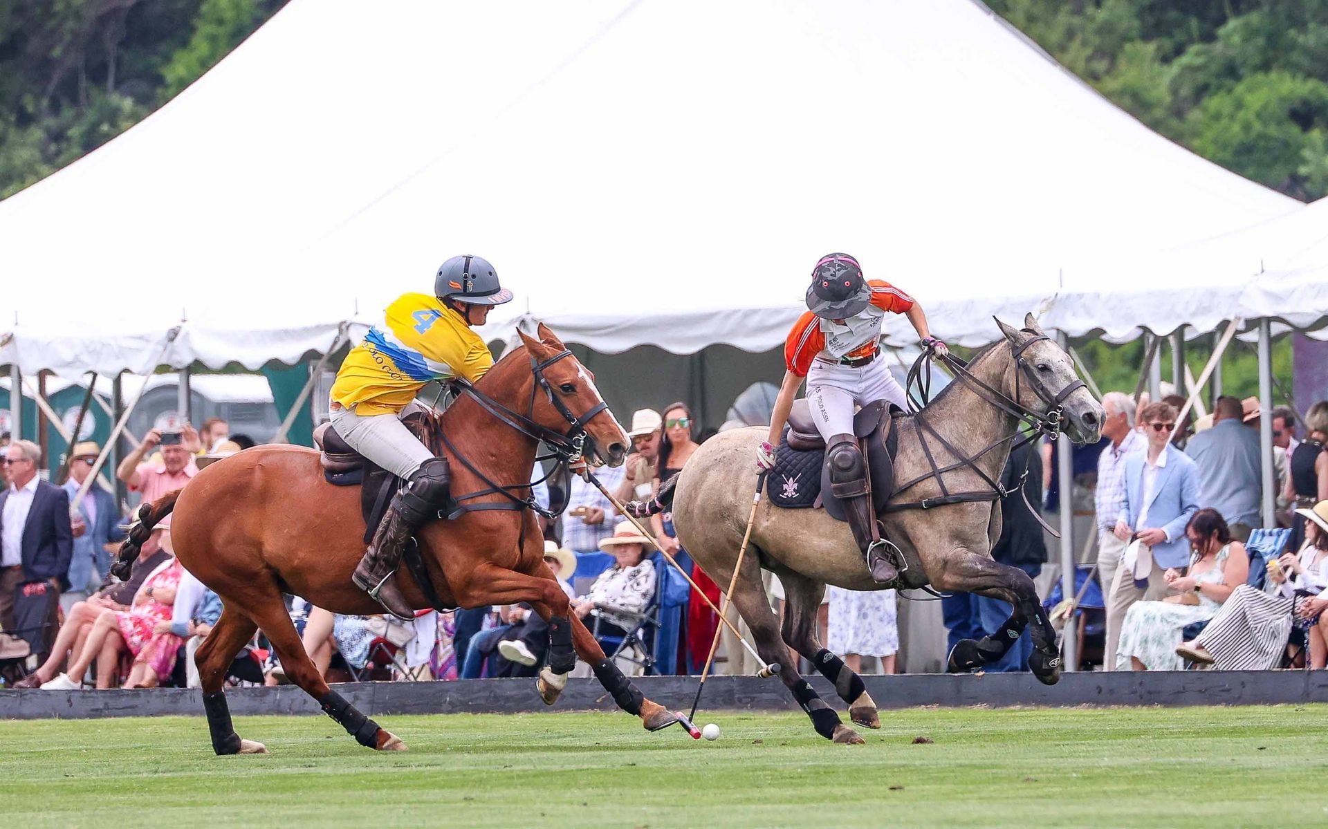Denver Polo Club