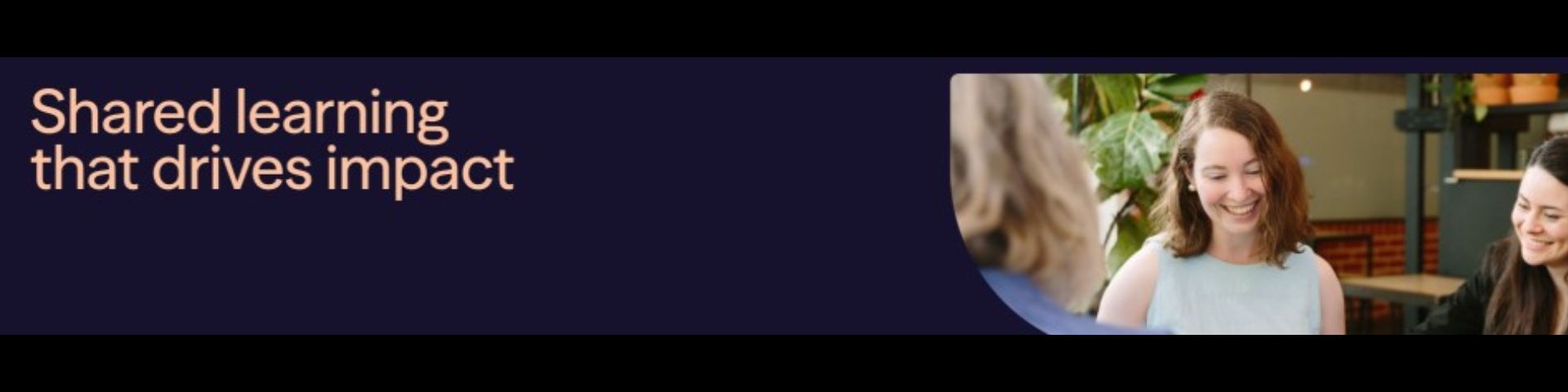 HealthQ Consulting - Program Evaluation Consultant