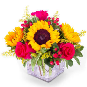 Alta Vista Flowers