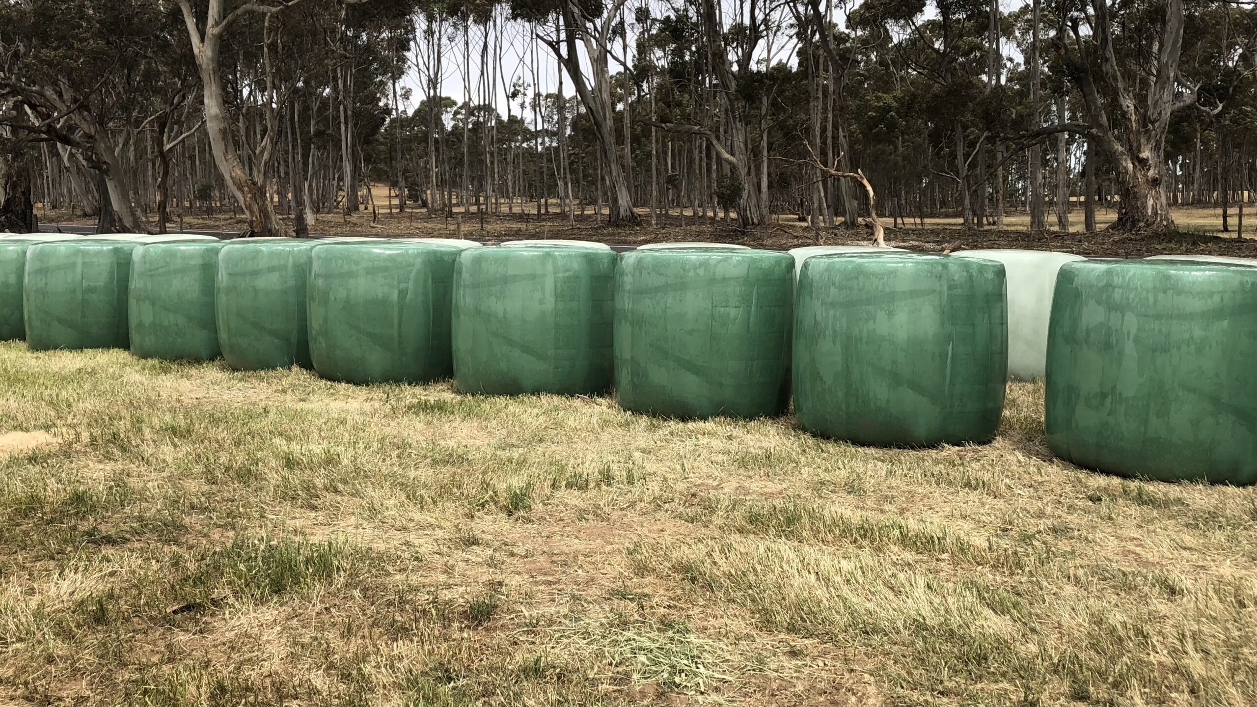 Net Wrap - Silage Film