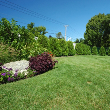Fred's Landscaping & Irrigation