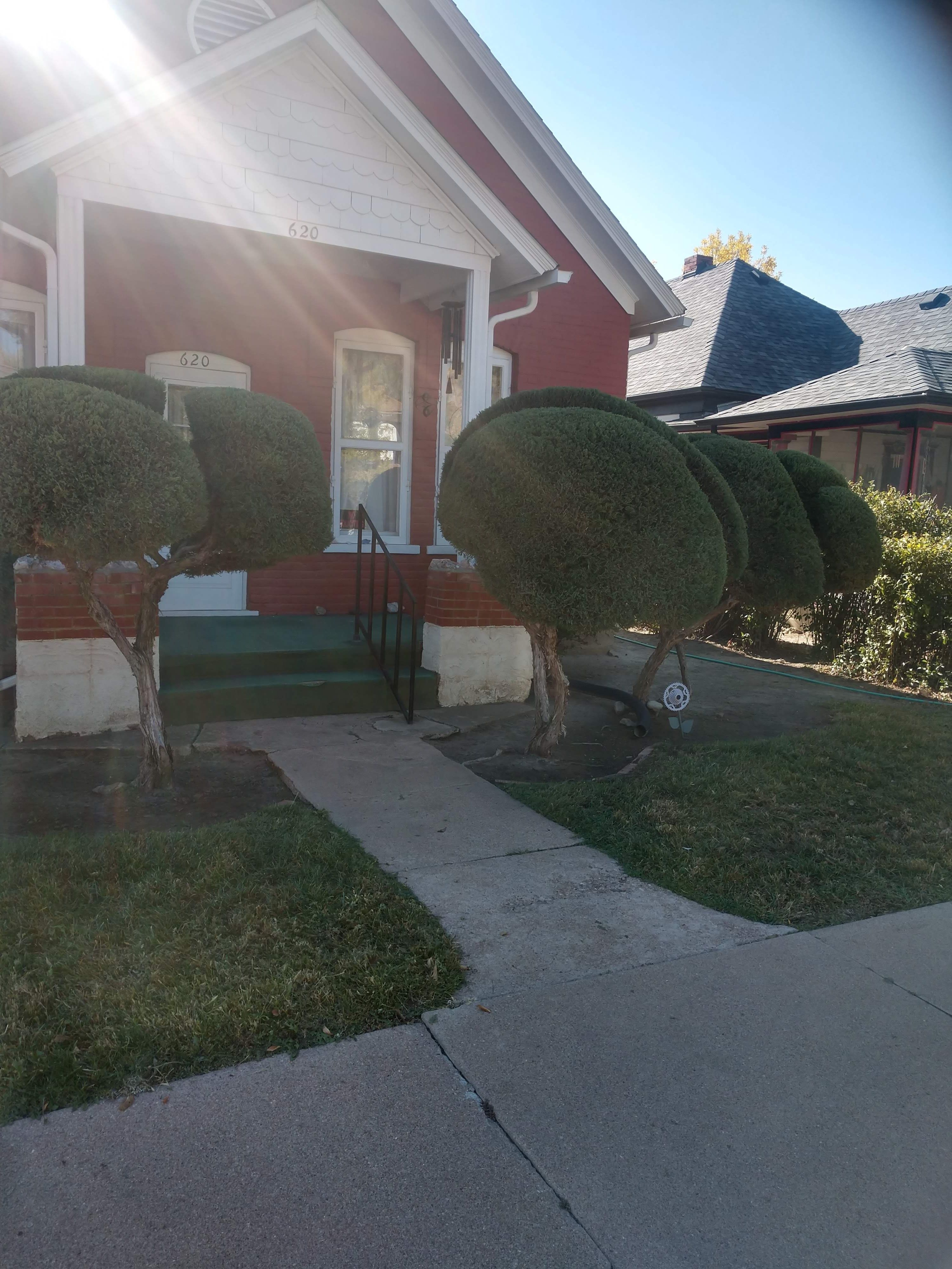 Complete Yard Service