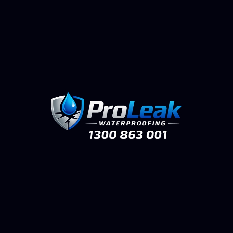 Pro Leak Waterproofing