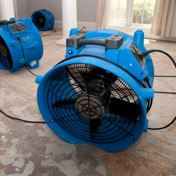 1-800 Water Damage