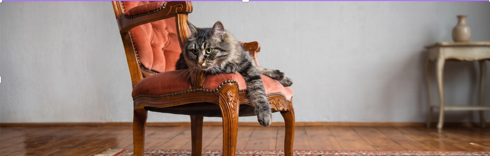 Boutique Cat Resorts Seaforth