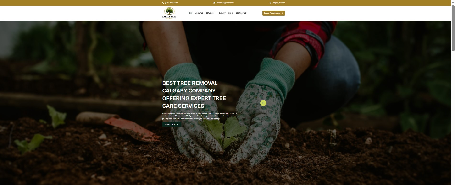 Lariat Tree Services