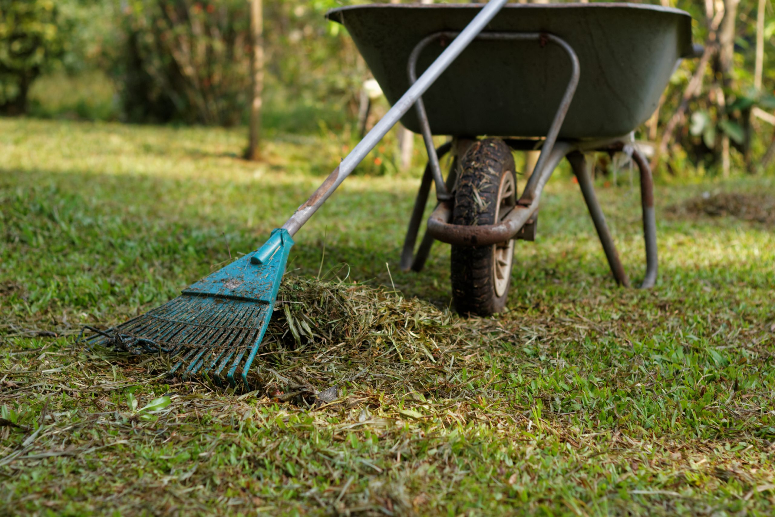 Lika Cleaning & Gardening Melbourne