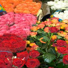 Verzaals Florist And Events