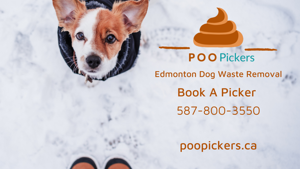 Poo Pickers