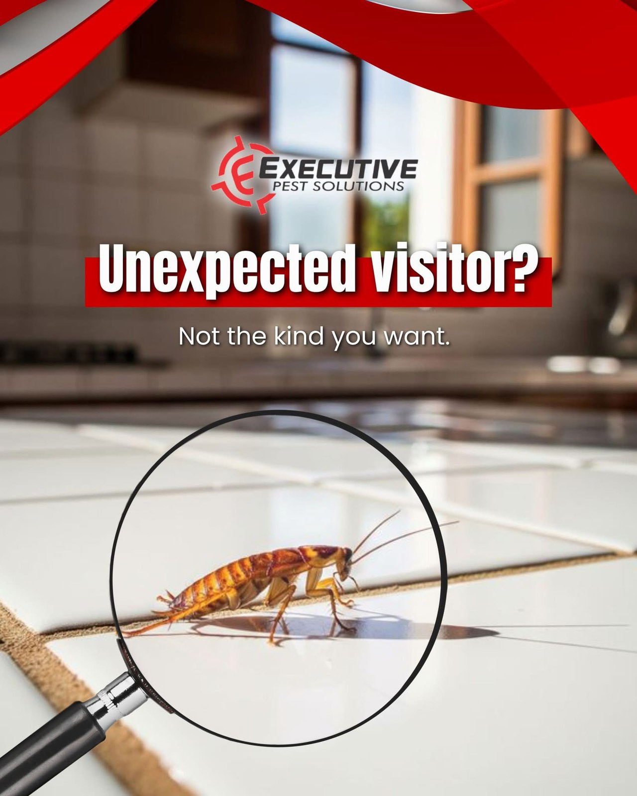 Executive Pest Solutions