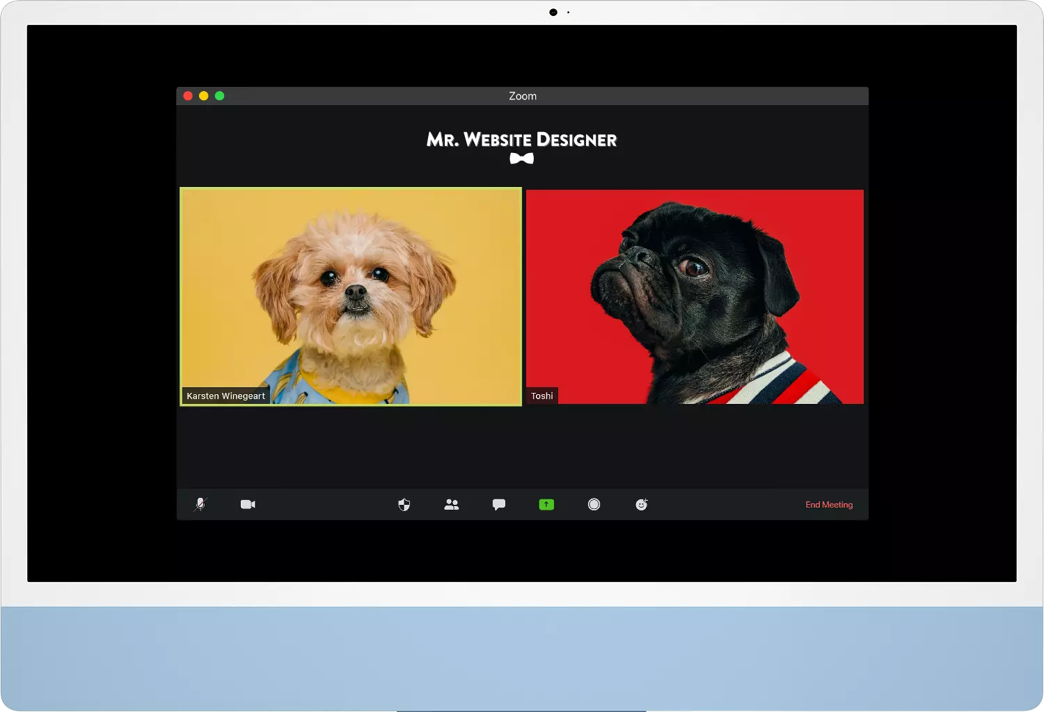 Mr. Website Designer