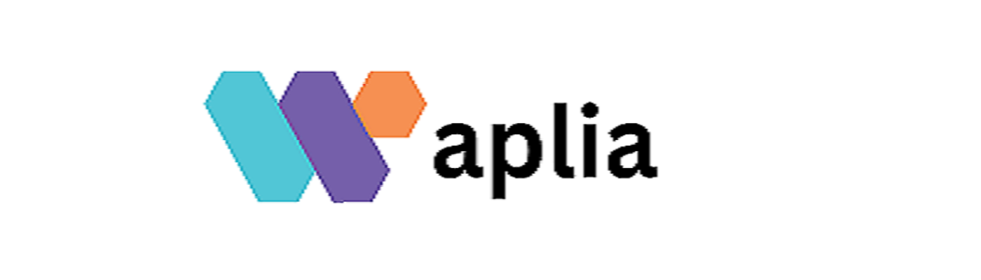 Waplia Digital Solutions