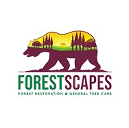 ForestScapes