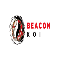 Beacon koi Ltd