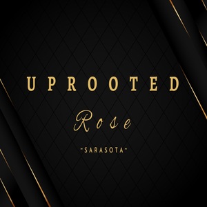 Uprooted Rose - Luxury Flowers Sarasota