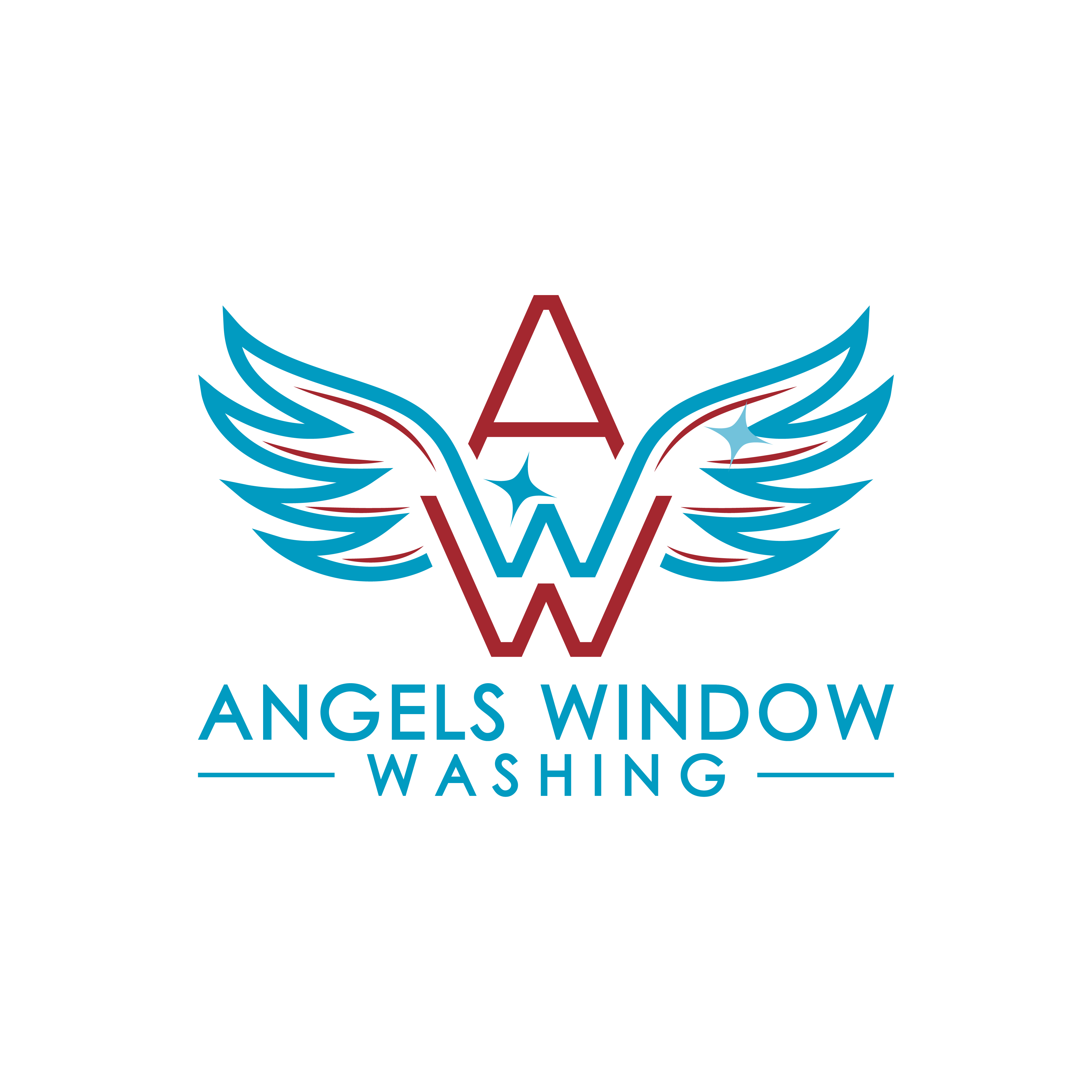 Angels Window Washing