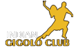 A Conclusion on Gigolo Clubs in Bangalore