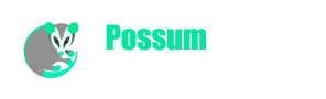 Possum Removal Adelaide