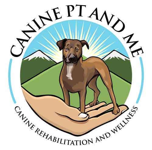 Canine PT and Me - CCL Tear in Dogs