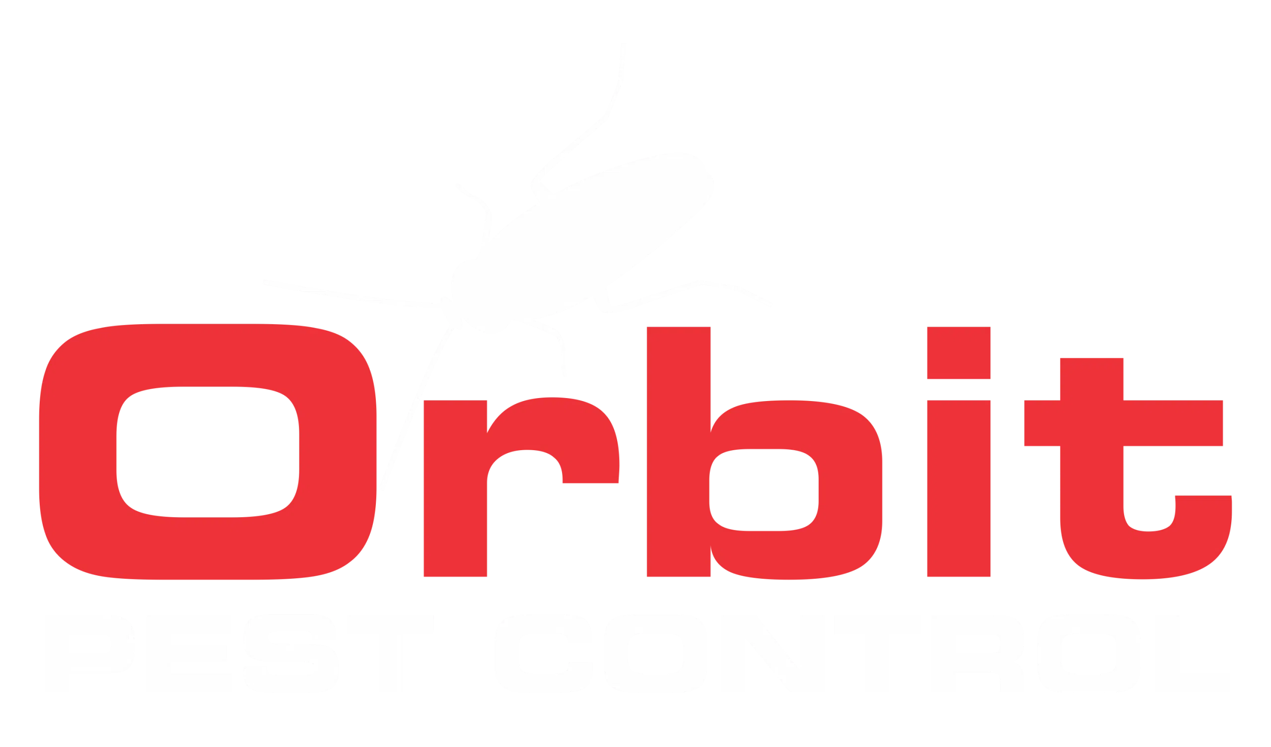 Beetle Pest Control Melbourne | Orbit Pest Control