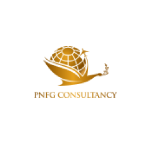 PNFG CONSULTANCY