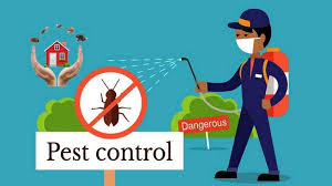 Pest Control Gowrie