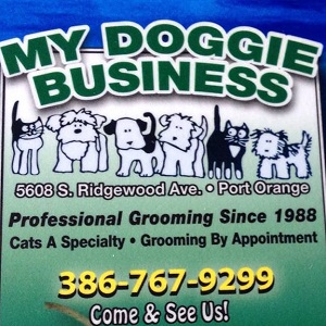 Cat-A-Holic Cats &amp; My Doggie Business