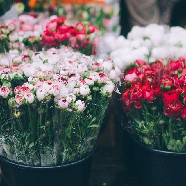 Bayou Blooms Flowers &amp; Gifts