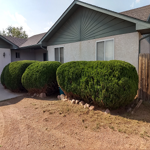 Complete Yard Service