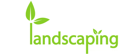 Pro Landscaping Services & Designs