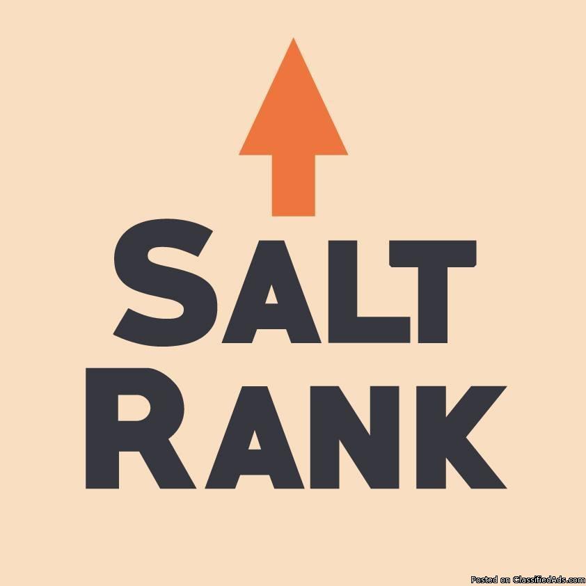 SALT RANK – Kansas City SEO &amp; Website Services