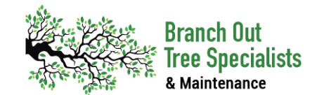 Branch Out Tree Specialists