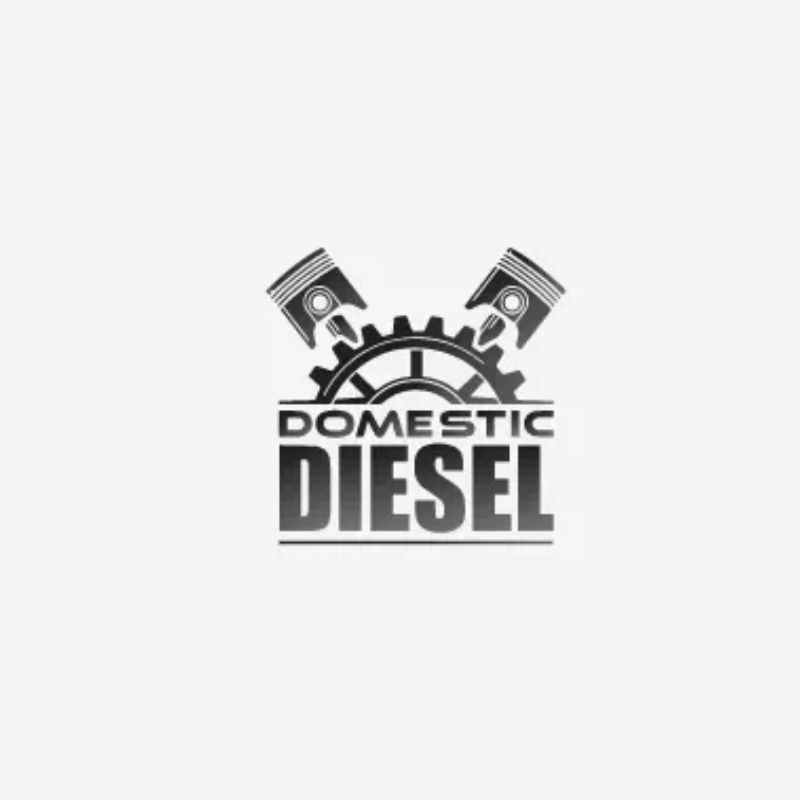 Domestic Diesel Truck and Auto Repair