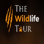 Explore India’s Wild Side – The Wildlife Tour