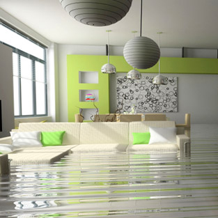 1-800 Water Damage