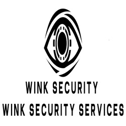 Wink Security