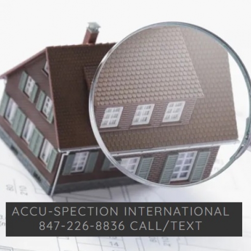 Accu Spection International