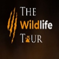 The Wildlife Tour — Premium Tiger Safari & Nature Photography Adventures