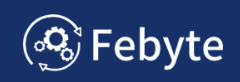 Febyte Corp IT Services
