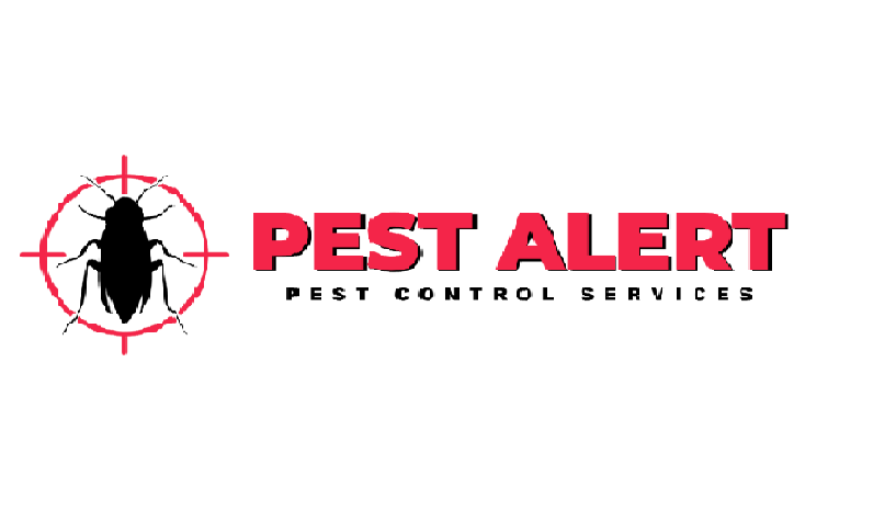 Possum Control in Melbourne