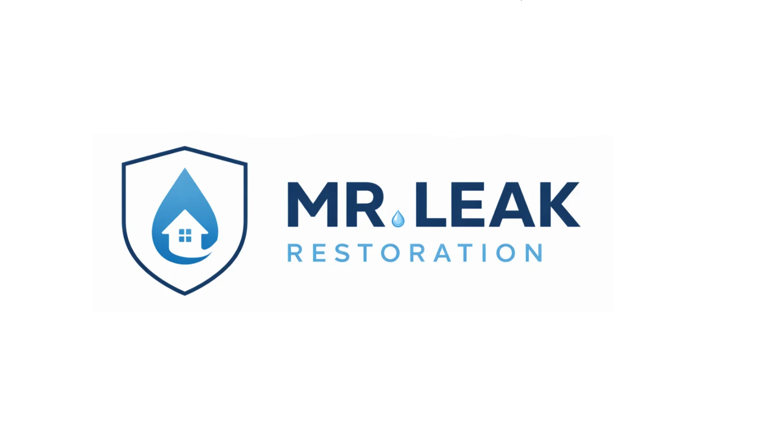 Mr. Leak - Water Damage Restoration