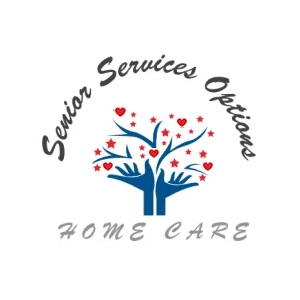 companion care from loving professionals kansas city mo