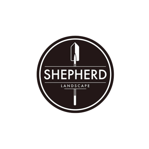 Shepherd Landscape