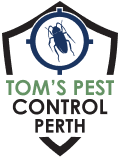 Termite Pest Control Perth | Tom’s Pest Control Perth