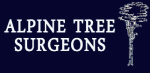 Alpine Tree Surgeons Guildford