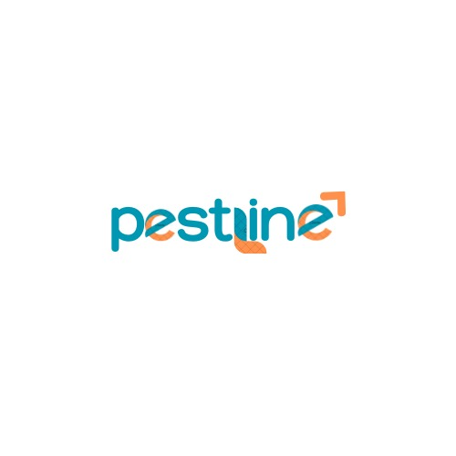 PESTLINE MANAGEMENT INDIA PRIVATE LIMITED