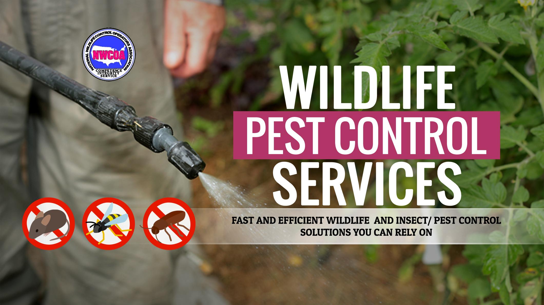 Wildlife Pest Control